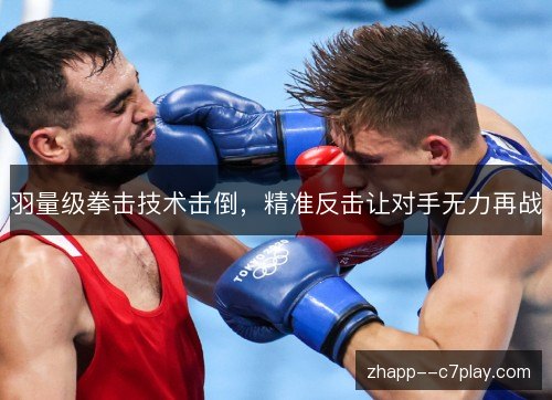 羽量级拳击技术击倒，精准反击让对手无力再战
